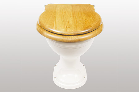 Light Oak Toilet Seat